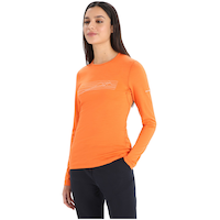 Icebreaker Women's 200 Oasis Ski Stripes Long Sleeve Crewe Top Front_Angled_Left