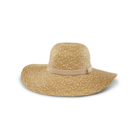 Chapeau mou en paille à bord large pour femmes, Denver Hayes Front_Three_Fourths_Angled_Left