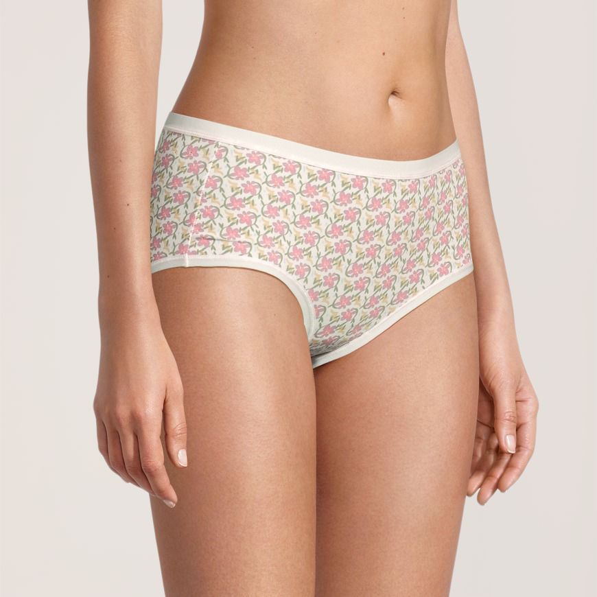 Culotte extensible en coton à taille basse pour femmes, Denver Hayes, paquet de 2