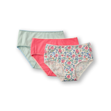 Denver Hayes Women's 3 Pk Cotton Stretch Modern Briefs Front_Flat