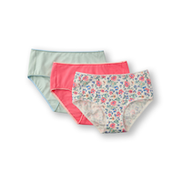 Denver Hayes Women's 3 Pk Cotton Stretch Modern Briefs Front_Flat
