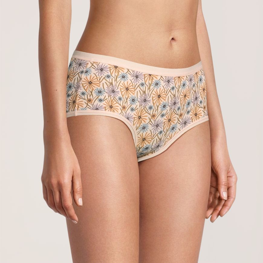 Denver Hayes Women's 2 Pk Cotton Stretch Hip Hugger Panties