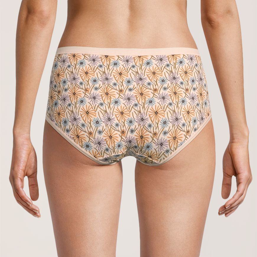 Denver Hayes Women's 2 Pk Cotton Stretch Hip Hugger Panties