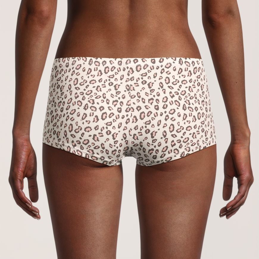 Caleçon bikini extensible en coton pour femmes, Denver Hayes, paquet de&nbsp;5