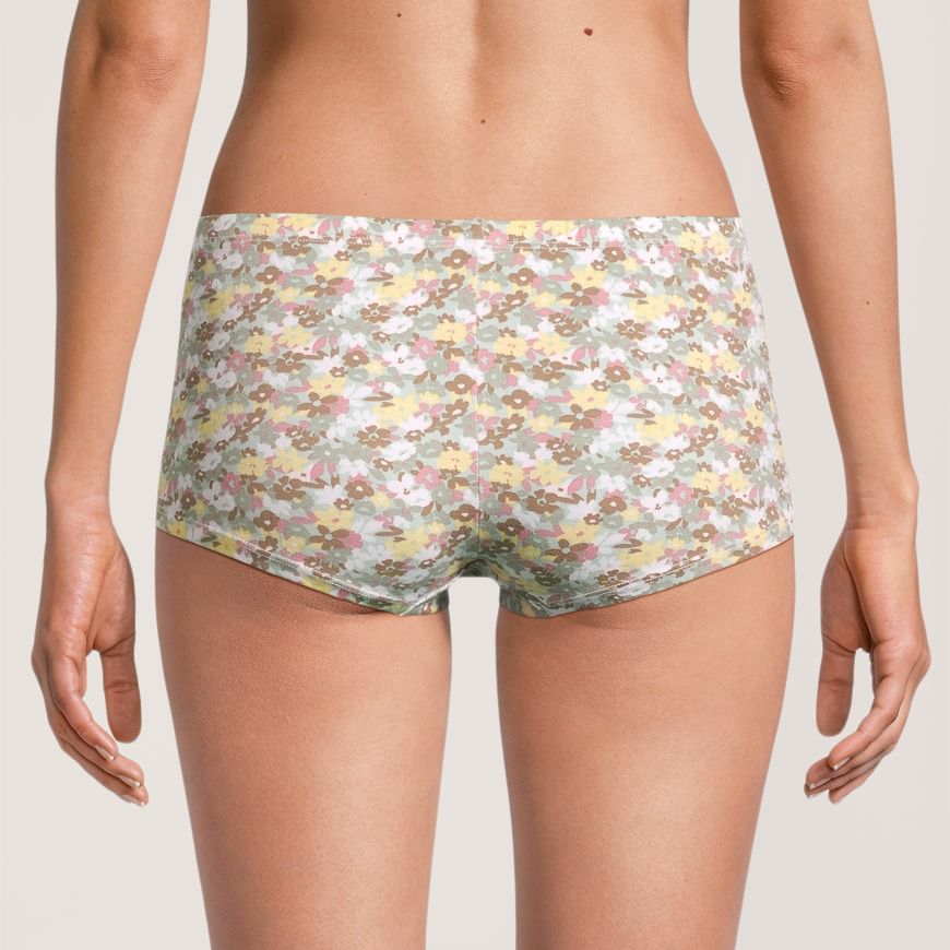 Denver Hayes Women's 3 pk Cotton Stretch Boyshort