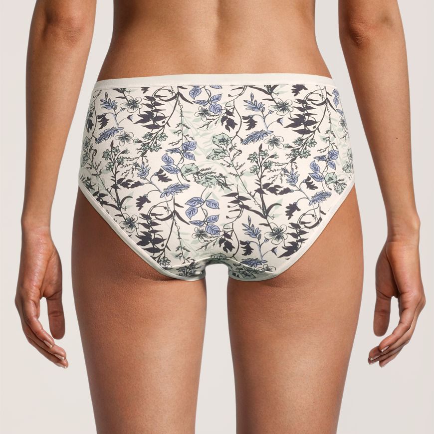 Denver Hayes Women's 2 pk Perfect fit Panty Cotton Stretch Hi-Cut Briefs