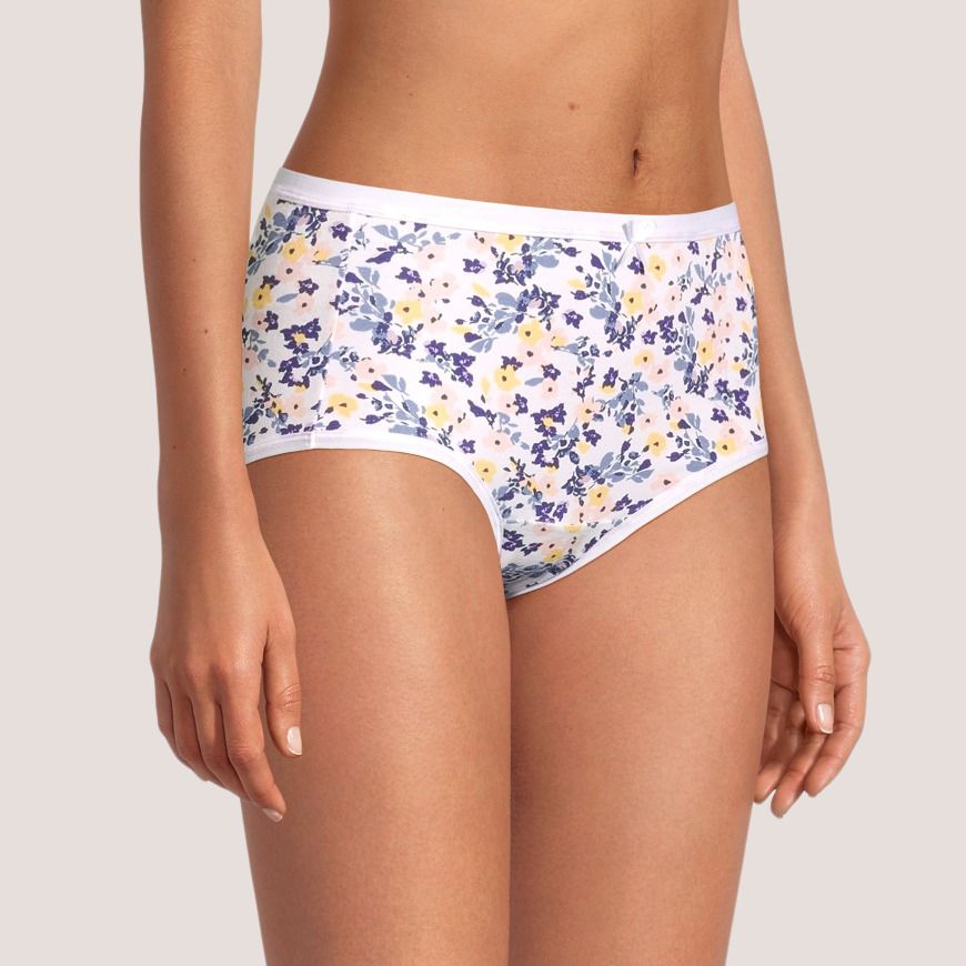 Denver Hayes Women's 2 Pack PFP Cotton Stretch Modern Brief Underwear