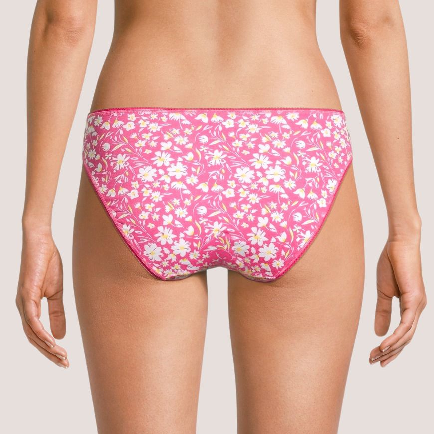 Denver Hayes Women's 5 Pack Cotton Stretch Bikini Underwear