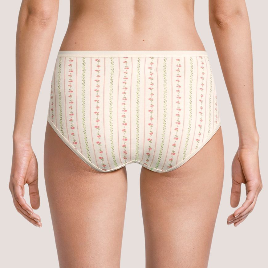 Denver Hayes Women's 2 Pack PFP Cotton Stretch Modern Brief Underwear