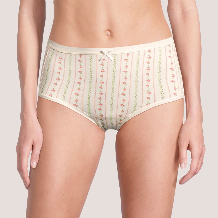 Denver Hayes Women's 2 Pack PFP Cotton Stretch Modern Brief Underwear