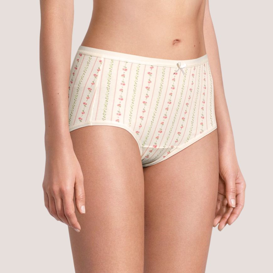 Denver Hayes Women's 2 Pack PFP Cotton Stretch Modern Brief Underwear