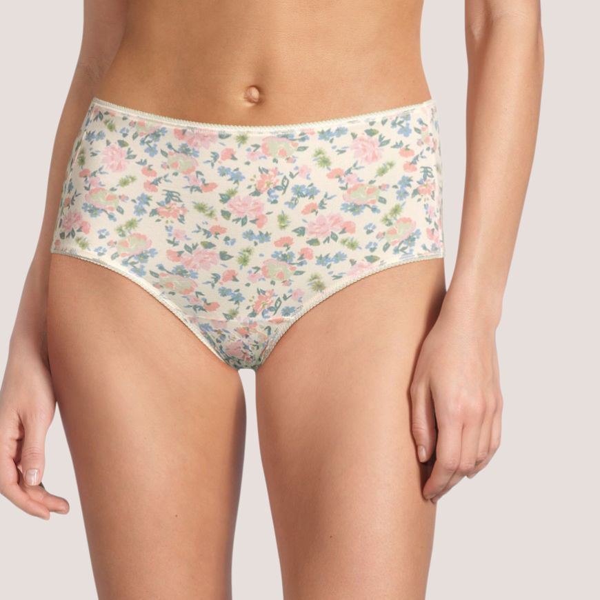 Denver Hayes Women's 3 Pack Cotton Stretch Modern Brief Underwear