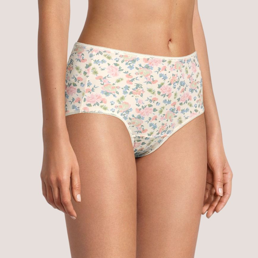 Denver Hayes Women's 3 Pack Cotton Stretch Modern Brief Underwear