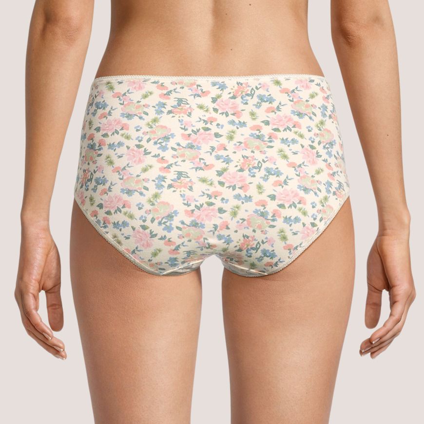 Denver Hayes Women's 3 Pack Cotton Stretch Modern Brief Underwear