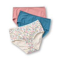 Denver Hayes Women's 3 Pack Cotton Stretch Modern Brief Underwear Front_Flat