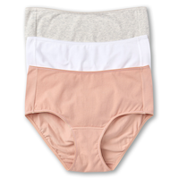 Denver Hayes Women's 3 Pack Cotton Stretch Brief Underwear