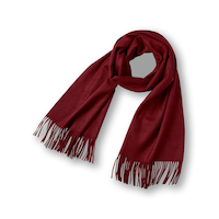 Denver Hayes Women's Woven Scarf with Fringes