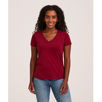 Denver Hayes Women's Short Sleeve Semi Fitted Supima V-Neck Cotton T-Shirt