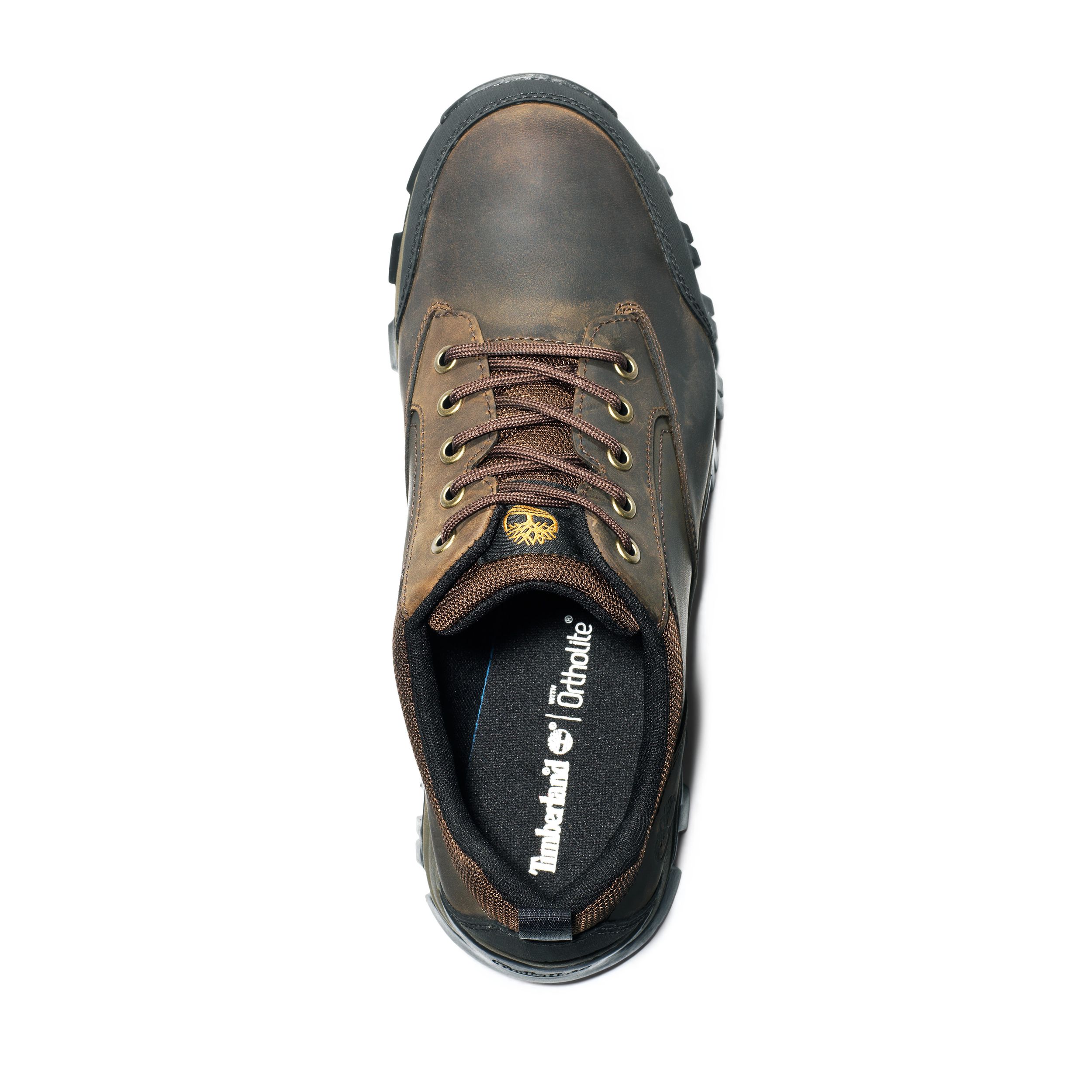 Chaussures de randonnée basses étanches à l'eau pour hommes, Mt. Maddsen, Timberland