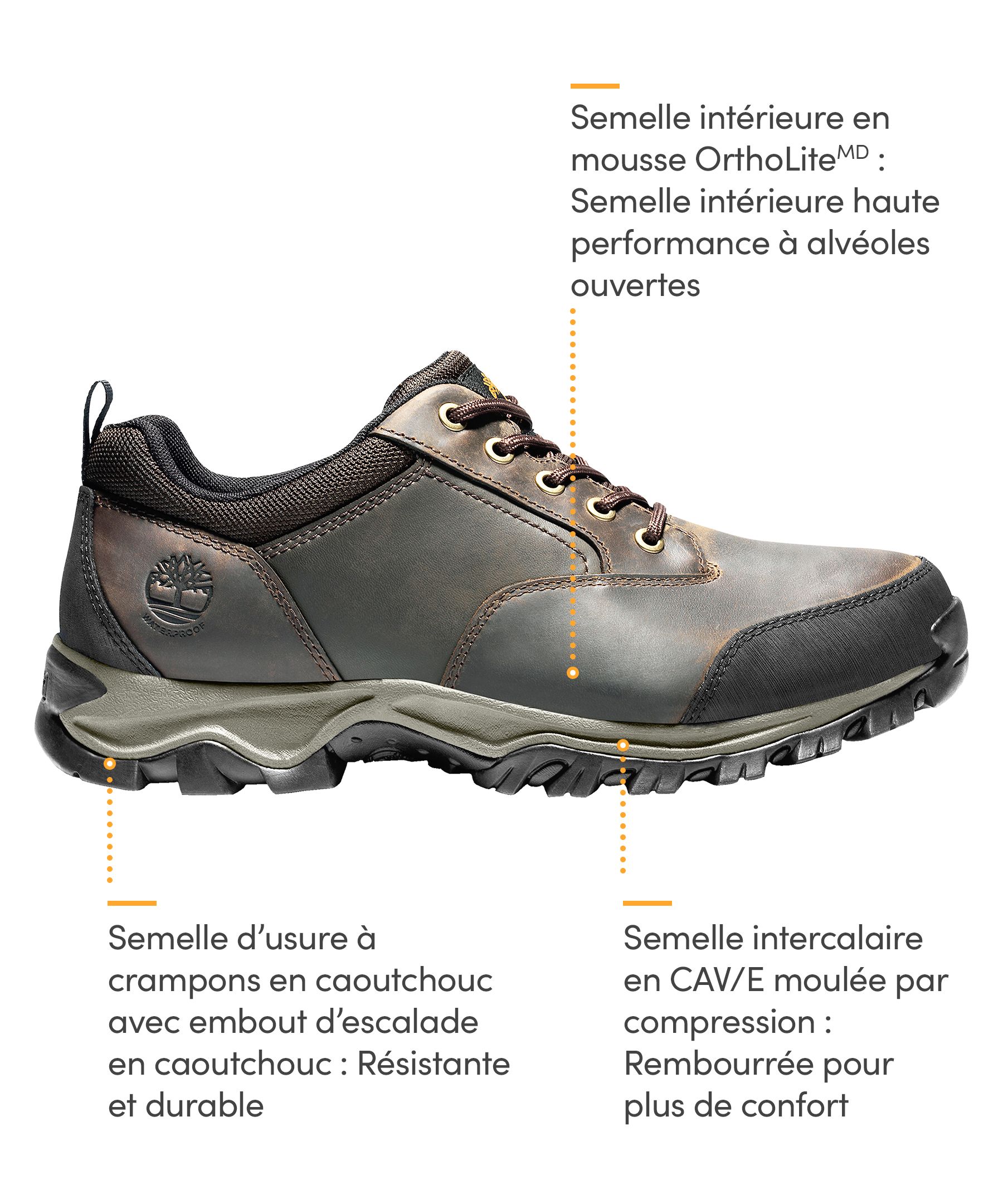 Chaussures de randonnée basses étanches à l'eau pour hommes, Mt. Maddsen, Timberland