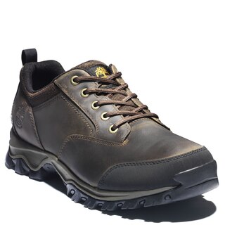 Timberland Men's Mt Maddsen Waterproof Low Hiker Shoes