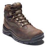 Timberland Men's Chocorua Waterproof Hiking Boots Front_Three_Fourths_Angled_Right