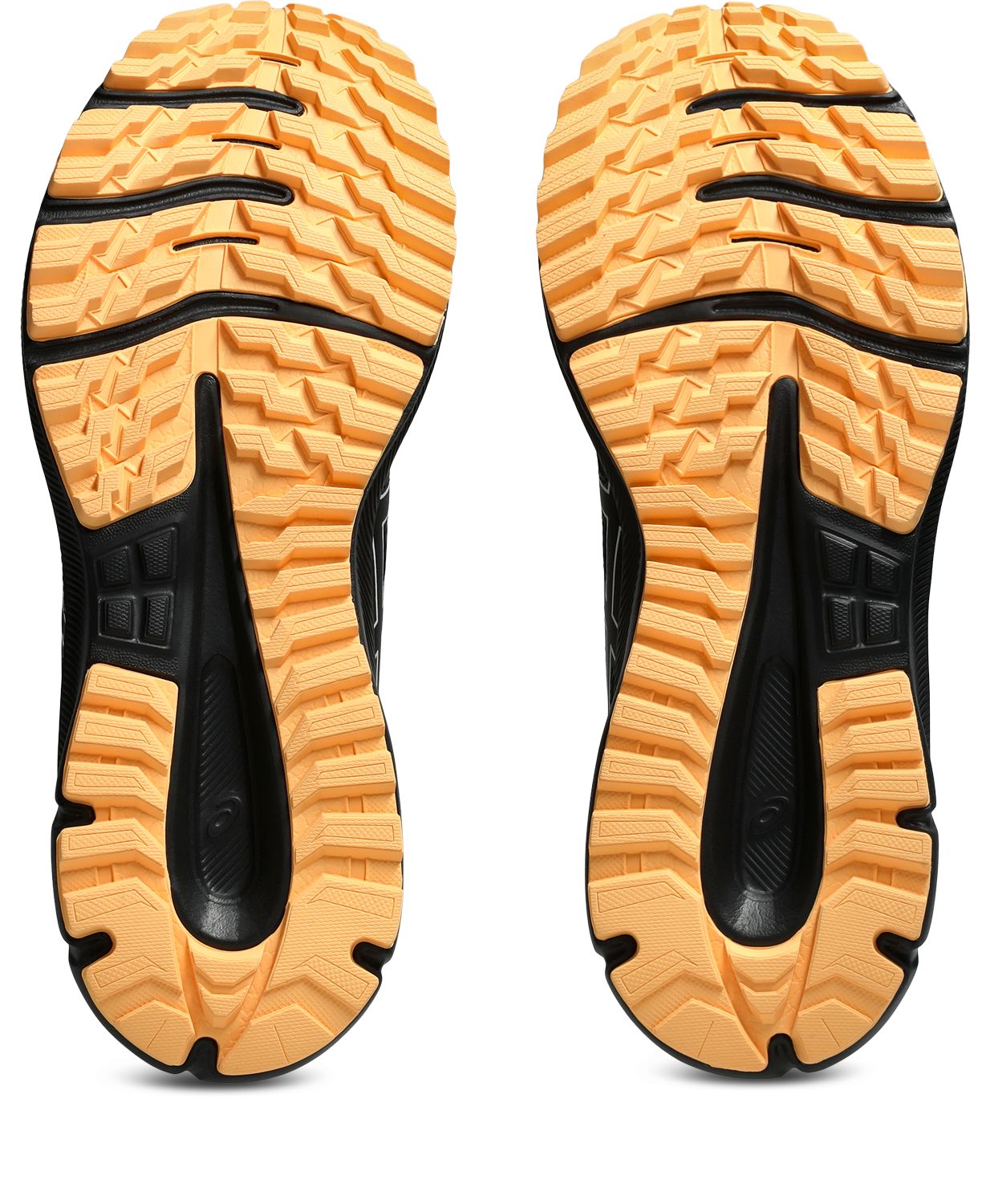 ASICS Men's Trail Scout 3 Running Shoes