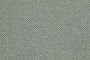 Grey Cactus
