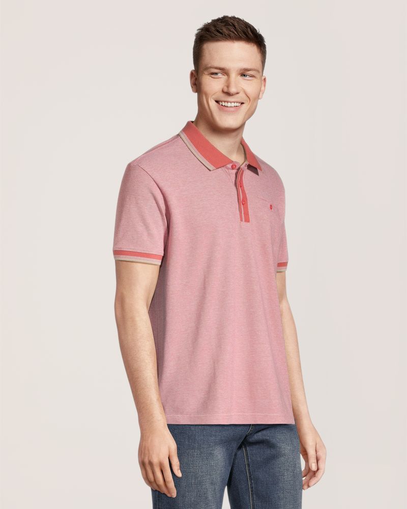 Polo pour hommes, Topher, Lois