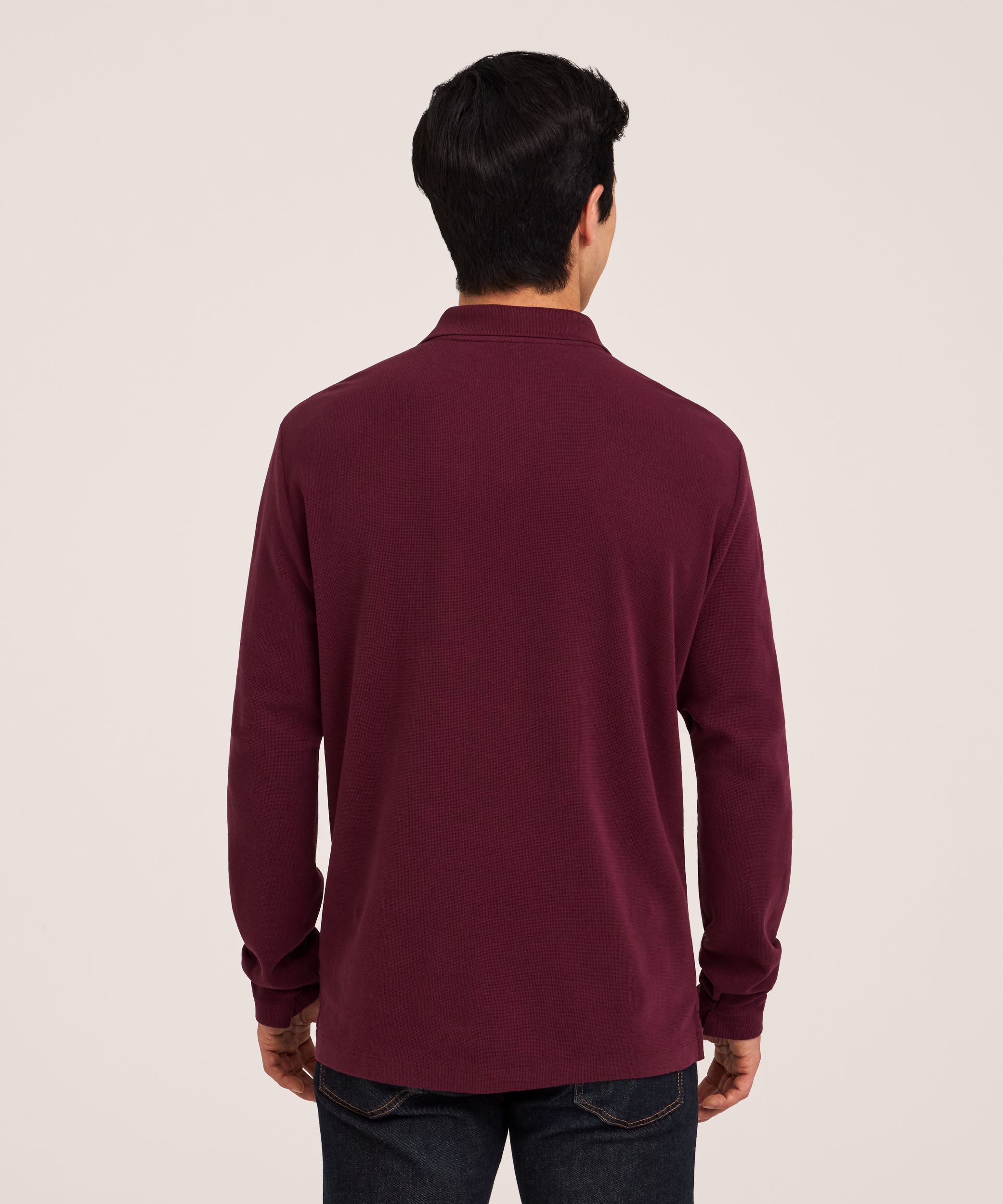 Polo à manches longues en tricot micropoint de brioche pour hommes, Denver Hayes