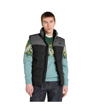 Veste bouffante déperlante pour hommes, Welch Mountain, Timberland