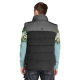 Veste bouffante déperlante pour hommes, Welch Mountain, Timberland Back_Flat