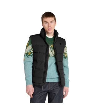 Veste bouffante déperlante pour hommes, Welch Mountain, Timberland