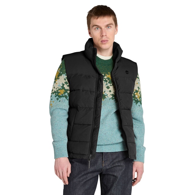 Veste bouffante déperlante pour hommes, Welch Mountain, Timberland