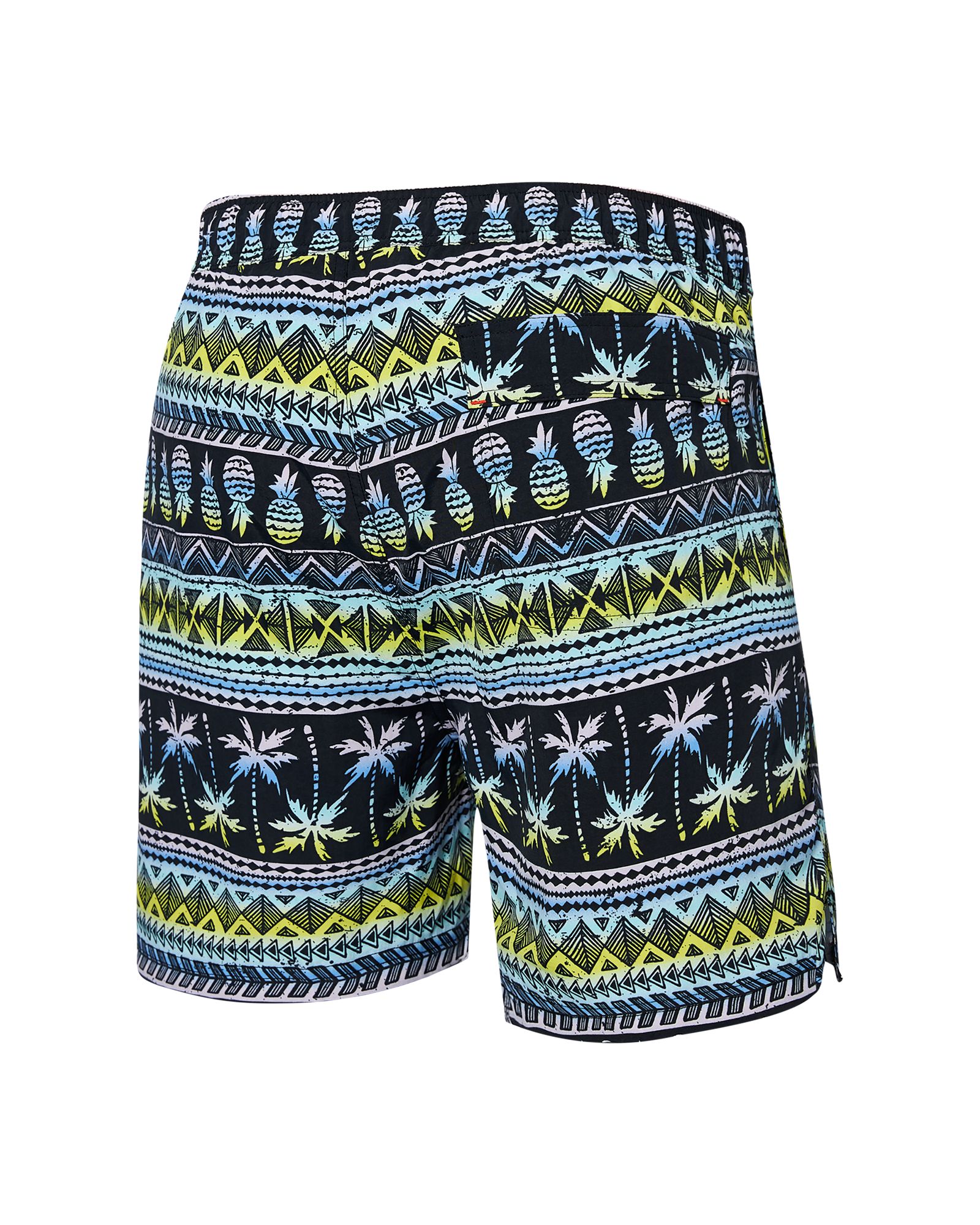 Maillot volley pour hommes Pina Go Coastal BallPark Pouch, SAXX