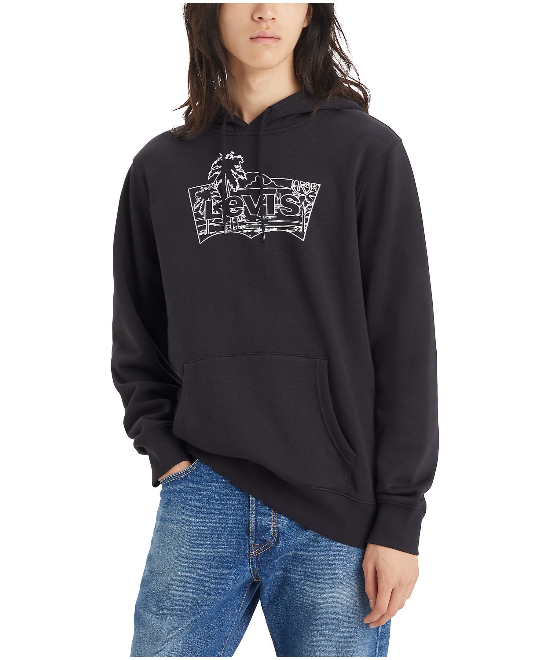 Levi's Men's Batwing Palm Graphic Hoodie