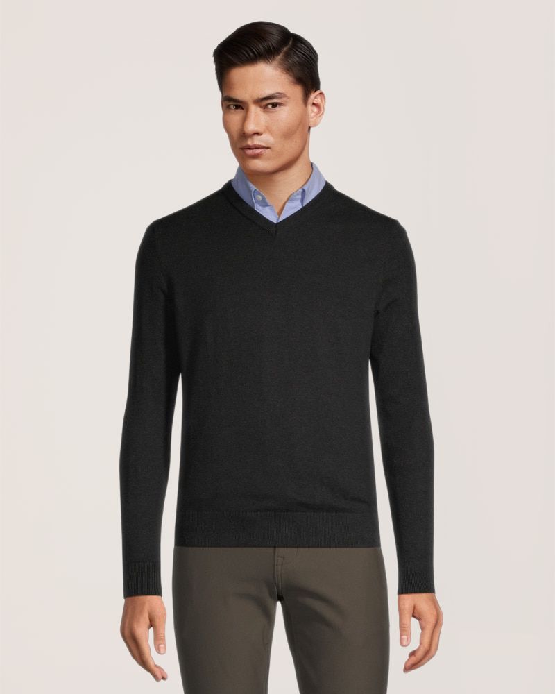 Denver Hayes Men's Soft Cotton V-Neck Sweater