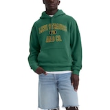 Chandail à capuche en molleton à enfiler à logo de style universitaire pour hommes, Levi's Front_Flat