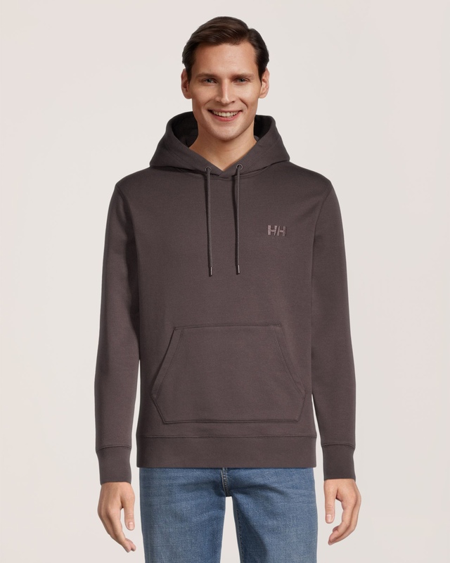 Chandail à capuche à enfiler en molleton pour hommes, Helly Hansen