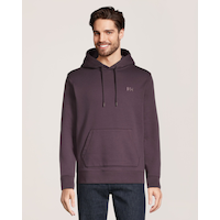 Chandail à capuche à enfiler en molleton pour hommes, Helly Hansen