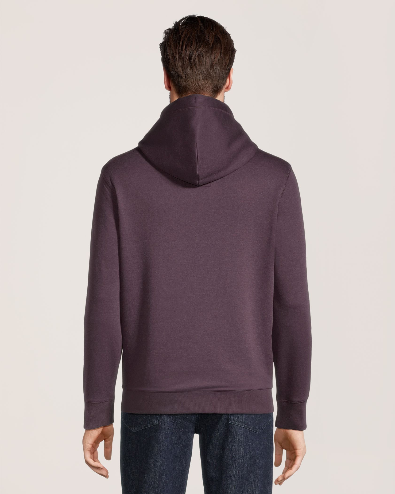 Chandail à capuche à enfiler en molleton pour hommes, Helly Hansen