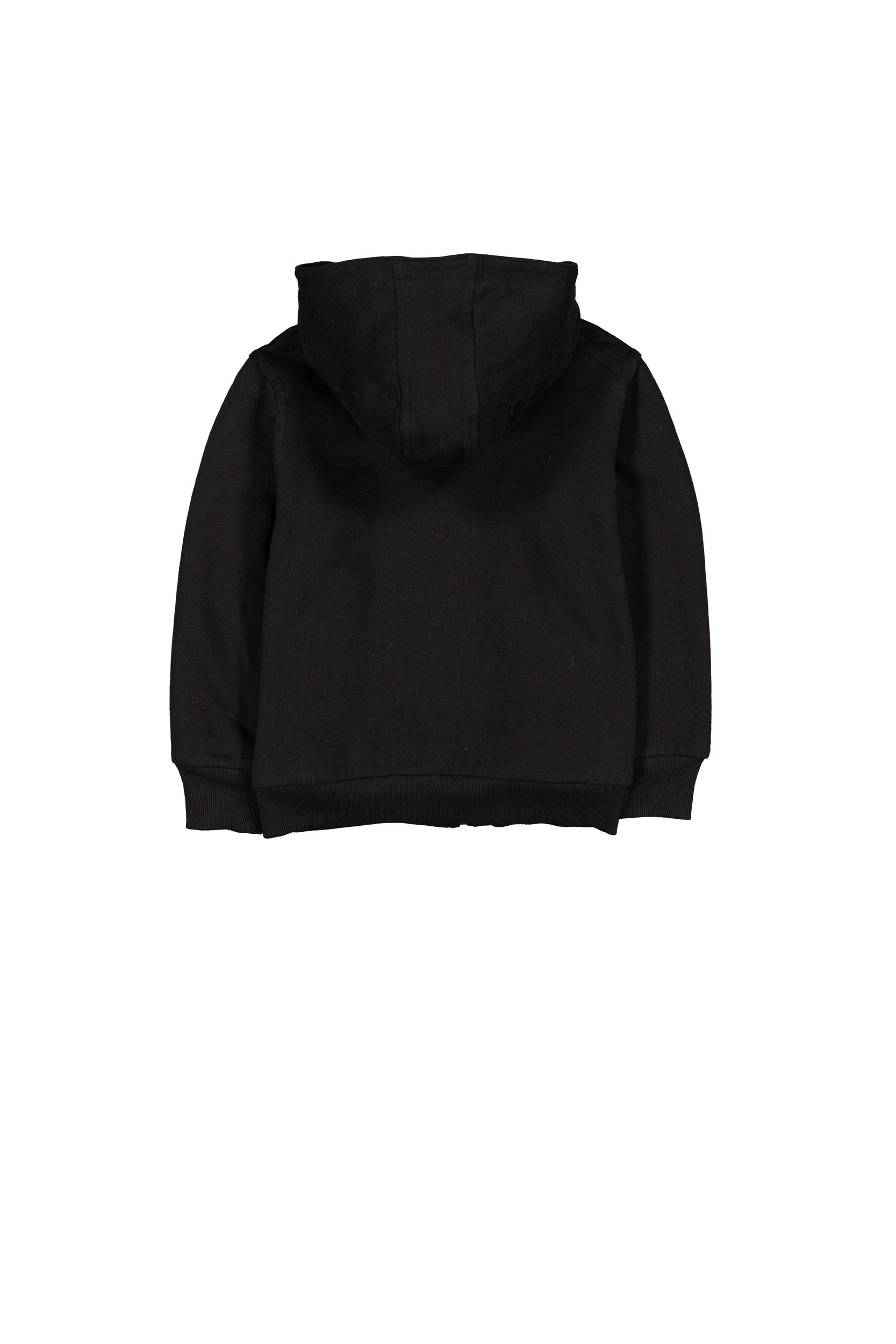 Silver Men's Sherpa Lined Full Zip Fleece Hoodie