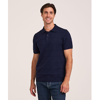 Denver Hayes Men's Striped Knit Polo
