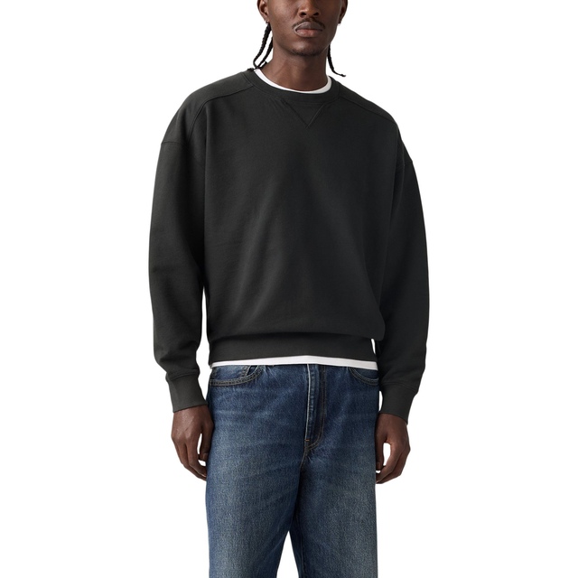 Levi's Men's Delany Sweatshirt
