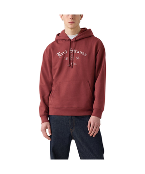 Levi's Men's Graphic Boxy Hoodie