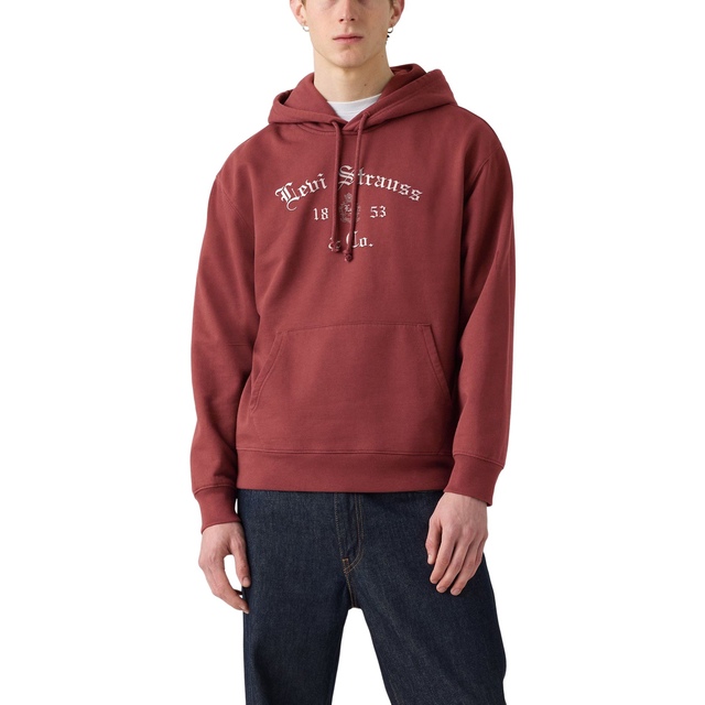 Chandail graphique à capuche à coupe carrée pour hommes, Levi's