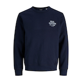 Jack & Jones Men's Dover Graphic Crew Neck Sweatshirt