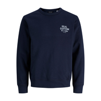 Jack & Jones Men's Dover Graphic Crew Neck Sweatshirt