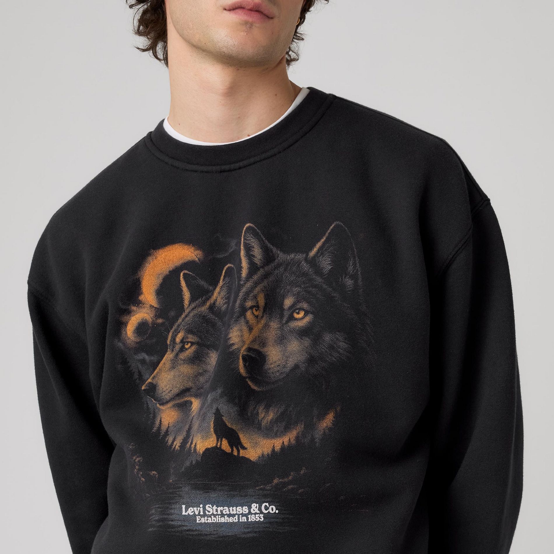 Levi's Men's Relaxed Graphic Sweatshirt