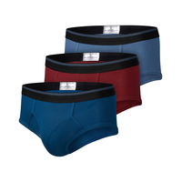 Denver Hayes Men's 3 Pack Basic Briefs Underwear Front_Angled_Left